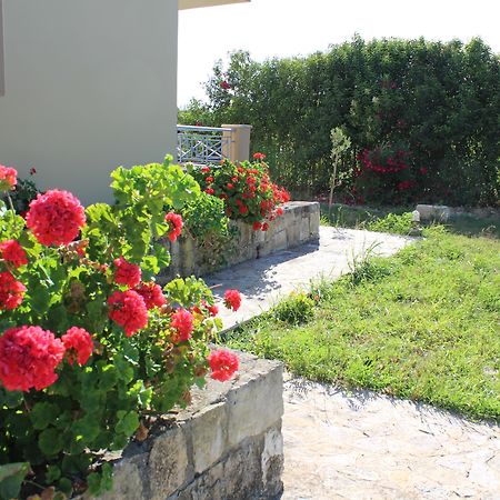 Aggelina S Apartments Xi Beach Zewnętrze zdjęcie