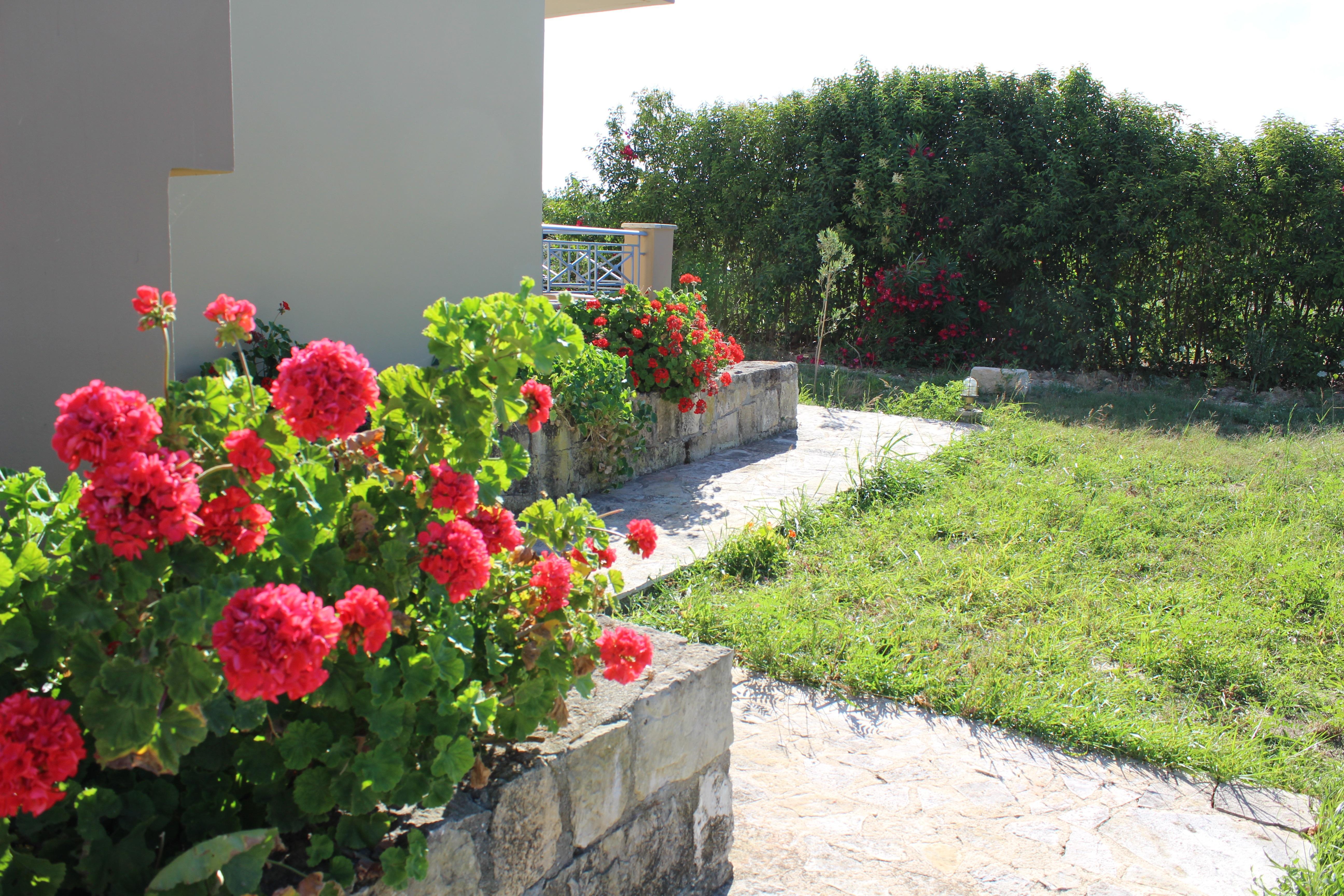 Aggelina S Apartments Xi Beach Zewnętrze zdjęcie